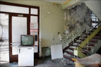 bild 64